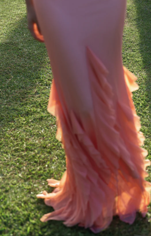 RADIANT PEACH LONG DRESS